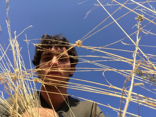 Foto profilo di Andrea Zaccaria (@andreazacca) su We Are Students